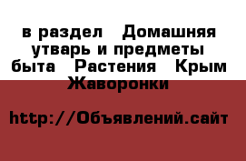  в раздел : Домашняя утварь и предметы быта » Растения . Крым,Жаворонки